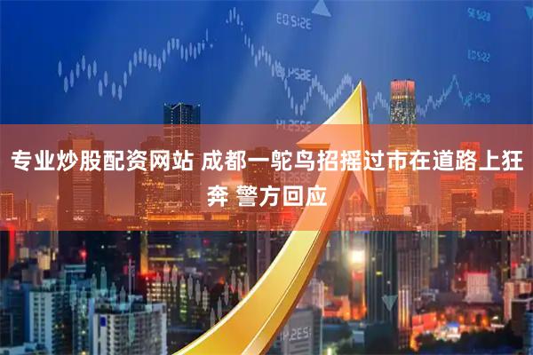 专业炒股配资网站 成都一鸵鸟招摇过市在道路上狂奔 警方回应